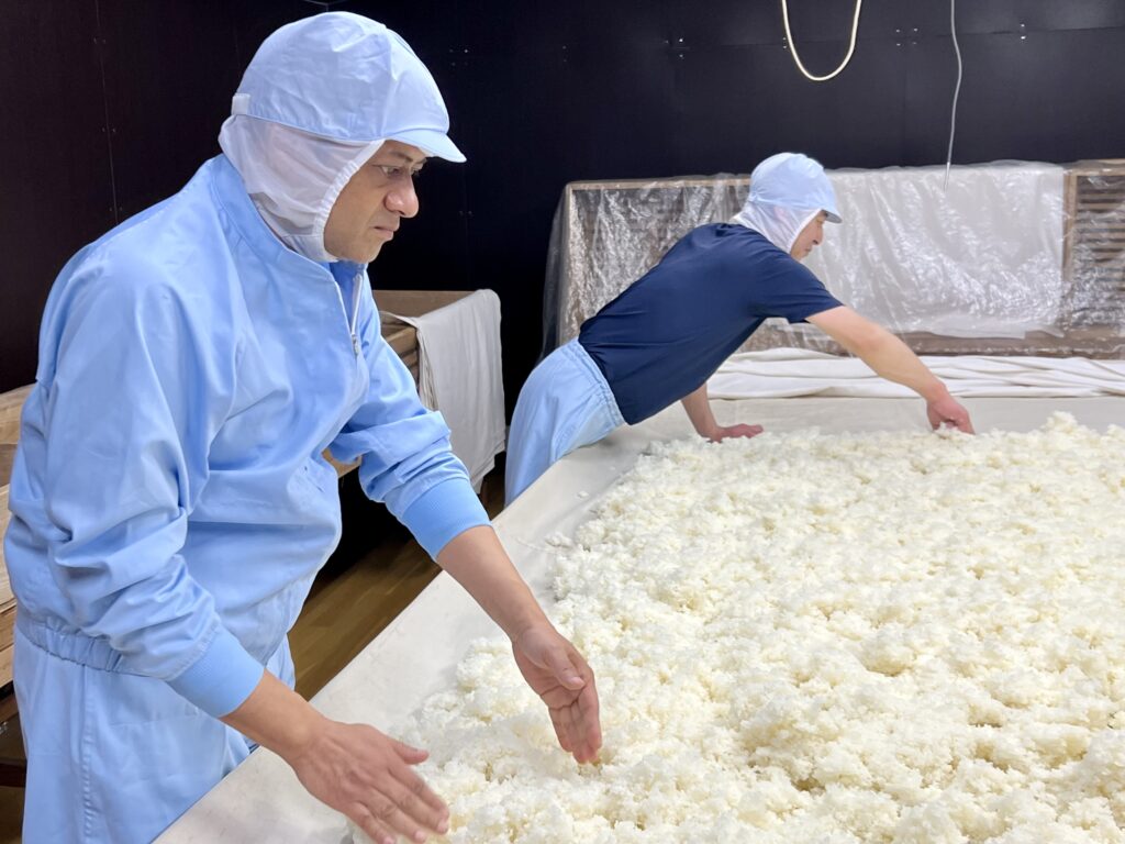 Ravi Joshi spreading Sake Rice to cool in Koji room