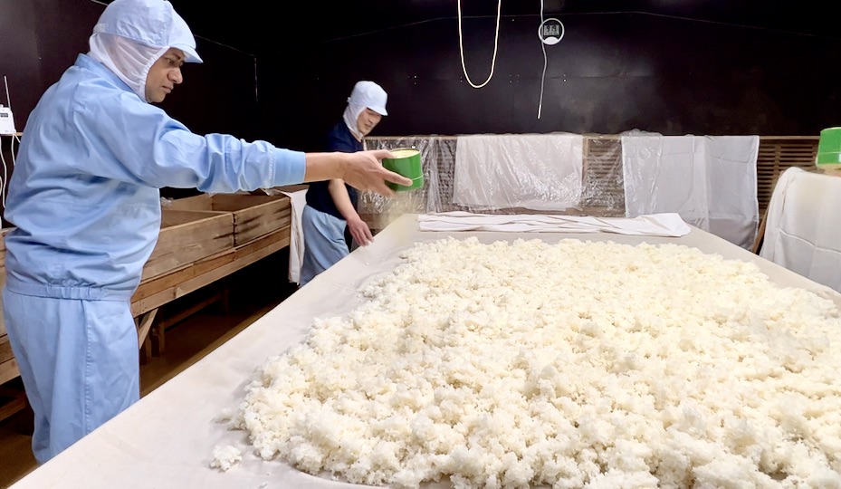 Ravi Joshi sprinkling koji mold